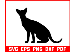 black cat bundle svg black cat bundle svg