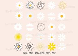 daisy bundle svg, flower, floral, spring daisy bundle svg, flower, floral, spring