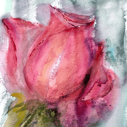 original watercolor painting by irina shilina canvas. "the rose"