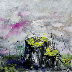 original watercolor painting by irina shilina canvas. "stump"