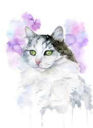 custom watercolor cat