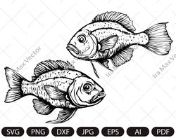 fish svg / cute fish svg / little fishes silhouette / fish vector / fish cut file / svg files