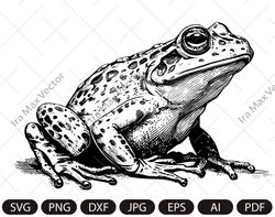 frog svg/ frog clipart/ frog png/ frog head/ frog detailed/ frog silhouette/ animals silhouette