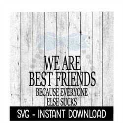 We Are Best Friends Because Everyone Else Sucks, Funny SVG Files, Instant Download, Cricut Cut Files, Silhouette Cut Fil