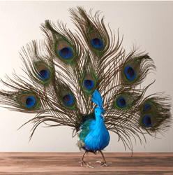 feathered artificial peacock