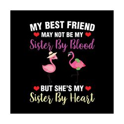 my best friend may not be my sister by blood but she's my sister heart svg files for silhouette, files for cricut, svg,