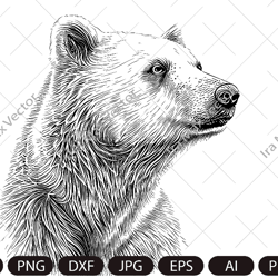 polar bear svg, polar bear head svg, polar bear face svg, polar bear clipart svg, polar bear detailed