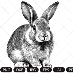 rabbit svg, bunny monogram, easter , hunter svg, files for cricut, peeking animal clipart, face vector image, head print