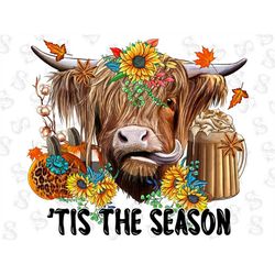 tis the season highland cow png, tis' the season heifer png sublimation design, fall png, hello fall png, pumpkin png, h