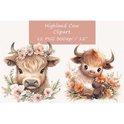 highland cow clipart, cow clipart, cute cow png, cute cow clipart, animals clipart, animals png,