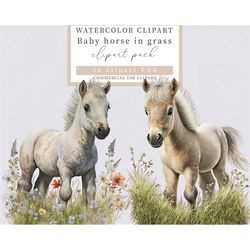 baby horse clip art, baby horse png, horse clip art, watercolor horse, farm animals clip art, baby animals, western clip