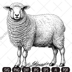 cute sheep svg, sheep standing, sheep clipart, sheep detailed, sheep printable, farm animals