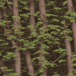 tatical camo deep woods seamless tileable repeating pattern