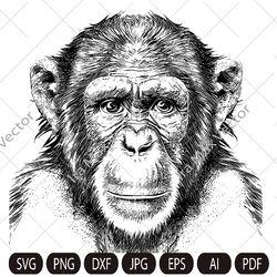 monkey face svg / monkey head svg / monkey svg / monkey king svg / monkey mascot svg /monkey detailed/ monkey printable