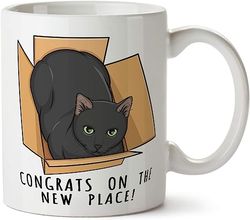 delicious accessories first home housewarming gift funny new homeowner coffee mug with cat in a box 11 oz tea ceramic