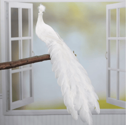 white closed tail feathered artificial peacock