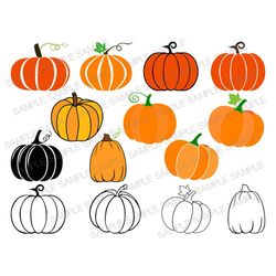 pumpkin svg file, pumpkin clipart, pumpkin silhouette, pumpkin cut files, pumpkin cricut, pumpkin png, pumpkin shirt svg