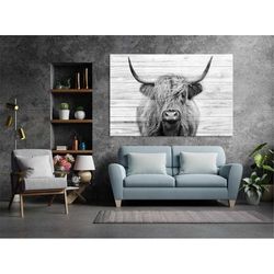 highland cow canvas print highland cow black and white canvas hairy cow  wall decor ready to hang