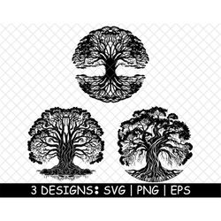 balete tree ficus sacred fig banyan, epiphytic, mysterious, png,svg,eps,cricut,silhouette,cut,laser,stencil,sticker,deca