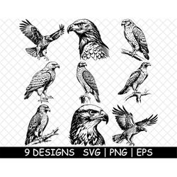 hawk, goshawk swainson ferruginous harris cooper rough png,svg,eps-cricut-silhouette-cut-engrave-stencil-sticker,decal,v