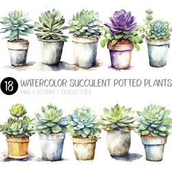 watercolor succulent potted plants png | mini pot, aloe, clipart, agave, boho, flower, design