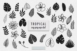 tropical leaves svg bundle|tropical clipart|tropical flower