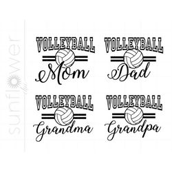 volleyball family svg | volleyball family cricut silhouette | volleyball family svg printable cricut silhouette | volley