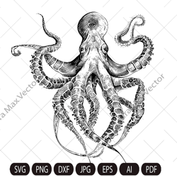 octopus svg, kragen svg, octopus printable, octopus detailed, octopus clipart,devilfish svg,poulpe