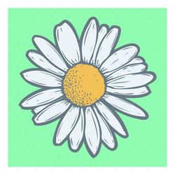 chamomile camomile flower floral hand drawn svg, flower svg, chamomile svg, camomile svg, wildflowers svg, birthday gift