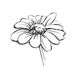 sketch wild flower resembling daisy svg, flower svg, daisy svg, drawing daisy svg, wildflowers svg, birthday gift svg, g