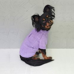 knitted sweater for a dog lilac sweater for small dog warm dog sweater torn sweater sweater with holes