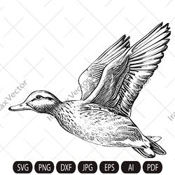 duck svg, duck flying svg, duck clipart, duck png, duck head , duck silhouette, birds silhouette, duck for hanter