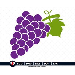 grape svg, grapes svg, fruit svg, wine svg, grapes, svg cut file, vine svg, grape vine svg, wine grapes, wine svg bundle