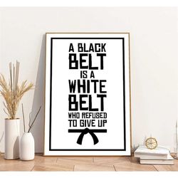 black belt white belt jiu jitsu, taekwondo, karate poster