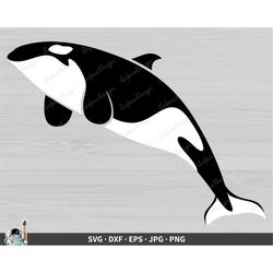 killer whale svg  orca clip art cut file silhouette dxf eps png jpg  instant digital download