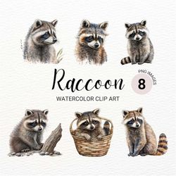 raccoon clipart | watercolor woodland animals clipart | baby animals | cute raccoon png | junk journal - scottturpin