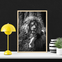 black&white style, lion wall art design