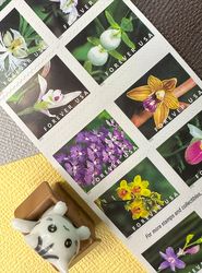 wild orchids 2020 – all brand new forever stamps 100 unused us forever first class - postage stamps