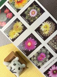 cactus flowers 2019 usps stamps  – all brand new forever stamps 100 unused us forever first class - postage stamps