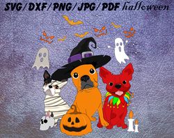 boston terrier halloween svg, png, dxf, pdf, jpeg...