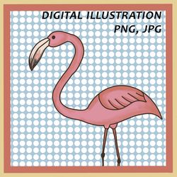 flamingo, flamingo portrait, flamingo illustration, artwork, digital picture