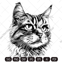 Cat Face Svg ,cute kitten face svg, cute cat face svg, cat faces svg, face svg, cat svg bundle, cat image, kitten svg cr