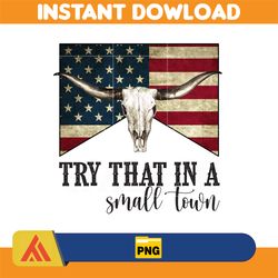 try that in a small town png, cow skull small town png, retro country shirt png, country music, american flag