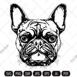 french bulldog svg,french bulldog head,french bulldog face,frenchie svg,funny dog clipart,pet face, bulldog breed ,frenc