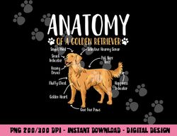 golden retriever dog anatomy  png, sublimation copy