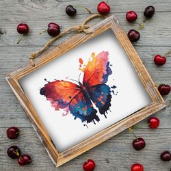 colorful butterfly