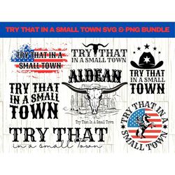 try that in a small town svg png bundle, country music shirt svg, jason aldean svg, patriotic png bundle, country music