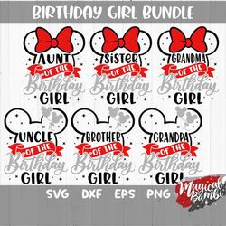 birthday girl svg bundle, 10 matching shirts svg, magic mouse svg, magical castle svg, family trip svg, mouse ears svg,