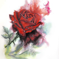 red rose painitng original watercolor abstract flower fine art wall decor modern artwork by ginna paola