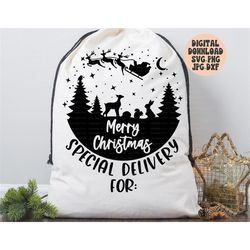 merry christmas santa sack svg, png, jpg, dxf, christmas gift bag svg, santa toy bag svg, special delivery svg, silhouet